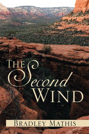 Cover of the book The Second Wind by Phoebe Otis