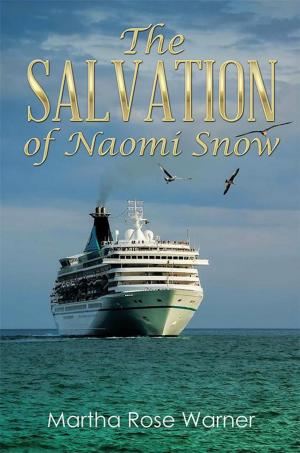 Cover of the book The Salvation of Naomi Snow by Barbara Bailey