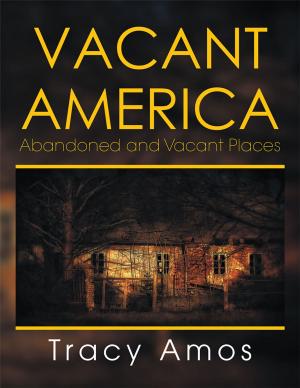 Cover of the book Vacant America by Paul Tremewan, Paul G. Tremewan