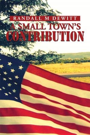 Book cover of A Small Town’S Contribution