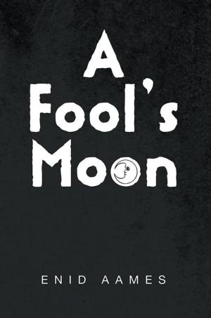 Cover of the book A Fool’S Moon by Borys Zinger
