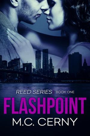 Cover of the book Flashpoint by Penny Jordan