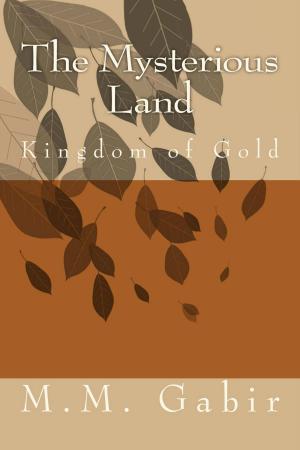 Cover of the book The mysterious Land by Paul Stadinger