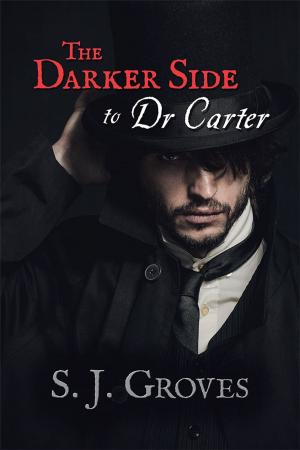 Cover of the book The Darker Side to Dr Carter by Eva Konstantopoulos