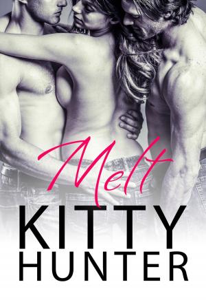bigCover of the book Melt by 