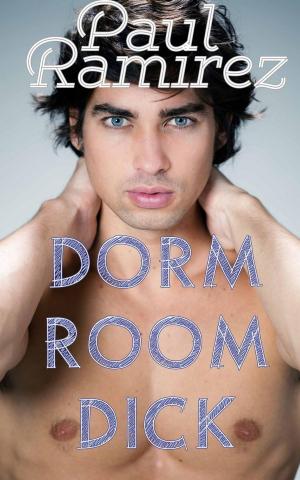 Book cover of Dorm Room Dick