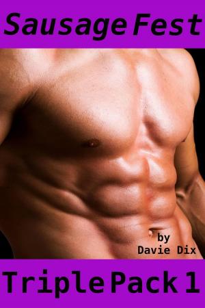 Cover of the book Sausage Fest, Triple Pack 1 (Gay Erotica) by Davie Dix