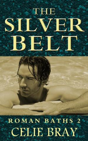 Cover of the book The Silver Belt by Rebeckah Markham