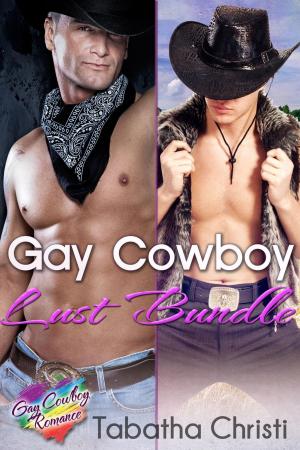 Cover of the book Gay Cowboy Lust Bundle by Racq Symphony