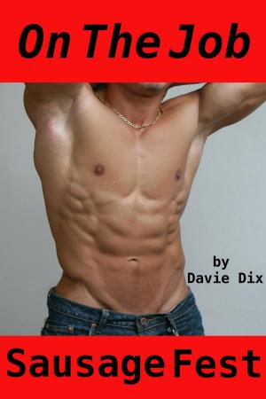 Book cover of On The Job, Sausage Fest (Gay Erotica)