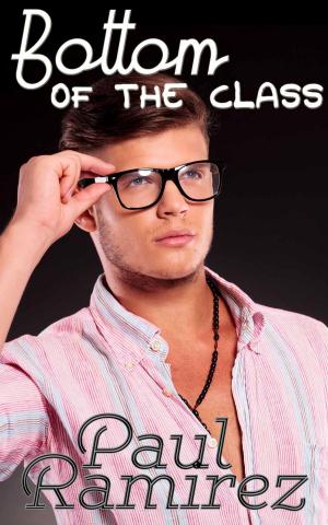 Book cover of Bottom Of The Class
