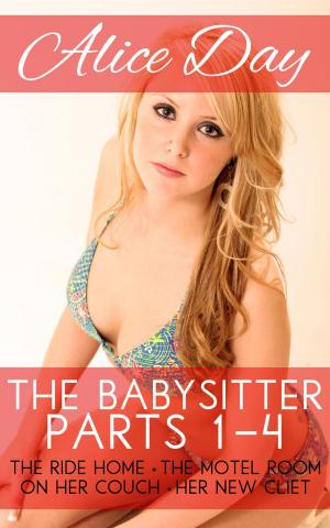Cover of the book The Babysitter by Alice Day