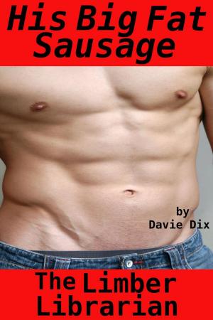 bigCover of the book The Limber Librarian, His Big Fat Sausage (Gay Erotica) by 
