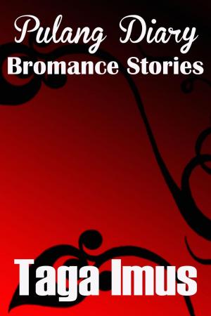 Cover of the book Pulang Diary Bromance Stories by Zach Crane