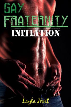 Cover of the book Gay Fraternity Initiation by B.J.LaRue