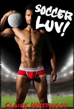 Cover of the book Soccer LUV! - A Sports-Themed Gay Anal erotic tale by Megan D. Martin