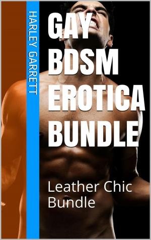 Cover of the book Gay BDSM Erotica Bundle by Lynn Edwards