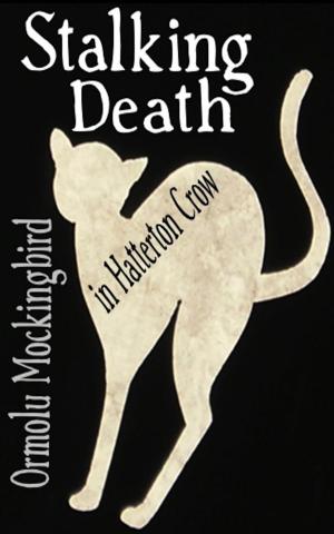 Cover of the book Stalking Death in Hatterton Crow by D L Richardson