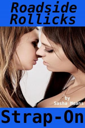 Cover of the book Roadside Rollicks, Strap-On (Lesbian Erotica) by Davie Dix