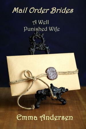 Book cover of Mail Order Brides: A Well Punished Wife