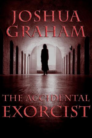 Cover of the book The Accidental Exorcist by Rhys Hughes