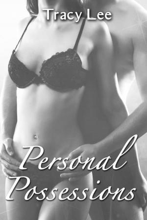 Cover of the book Personal Possessions by Matthew J. Pallamary