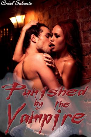Book cover of Punished by the Vampire