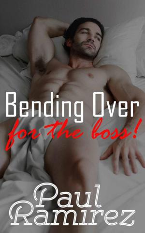 Book cover of Bending Over For The Boss