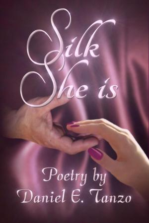 Cover of Silk She Is: Poetry by Daniel E. Tanzo