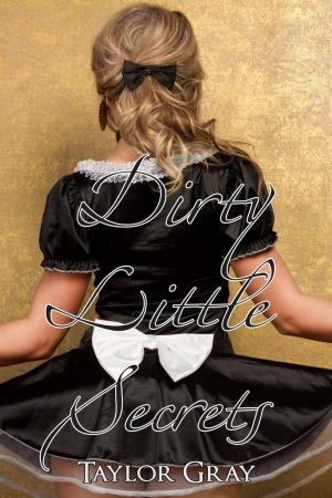 Cover of the book Dirty Little Secrets by Charles Barbara