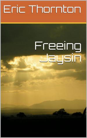 Book cover of Freeing Jaysin