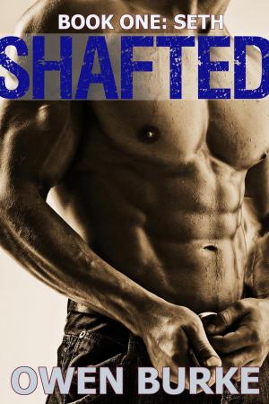 Cover of the book Shafted: Book 1 - Seth by Owen Burke