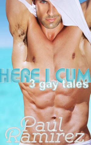Book cover of Here I Cum: 3 Gay Erotica Tales
