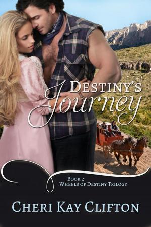 Cover of the book Destiny's Journey by Angela Carlie