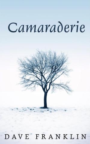 Book cover of Camaraderie