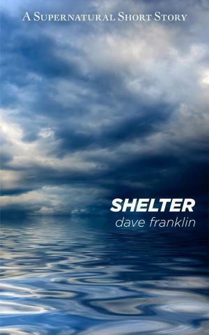 Cover of the book Shelter: A Supernatural Short Story by Dave Franklin