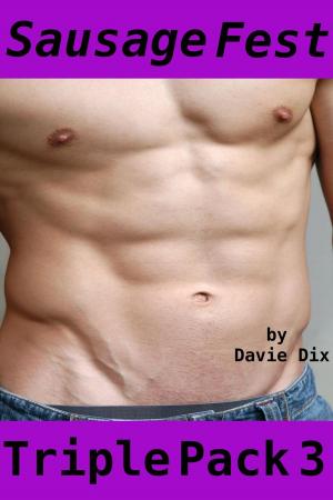 Cover of the book Sausage Fest, Triple Pack 3 (Gay Erotica) by C. C. Passions