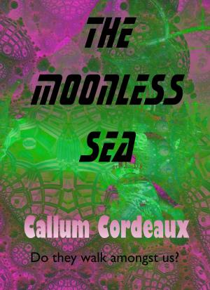 Cover of the book The Moonless Sea by Len Engst