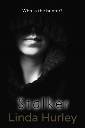 Cover of the book Stalker by Stephen Stanley