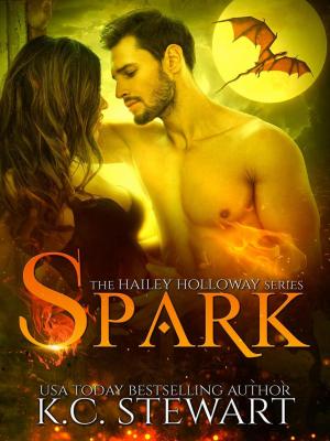 Cover of the book Spark by Sean M. Hogan