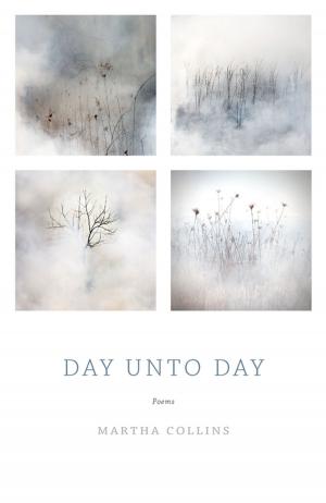 Cover of the book Day Unto Day by Anosh Irani