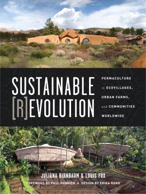 Cover of the book Sustainable Revolution by Robert Bruce Newman