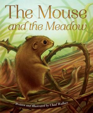 Book cover of The Mouse and the Meadow
