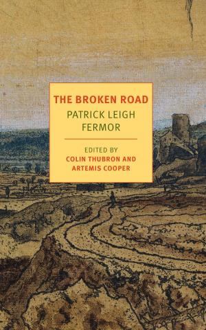 Cover of the book The Broken Road by Renata Adler, Guy Trebay