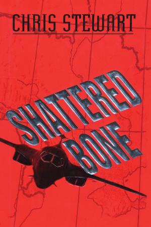 Cover of the book Shattered Bone by Barbara Doyen
