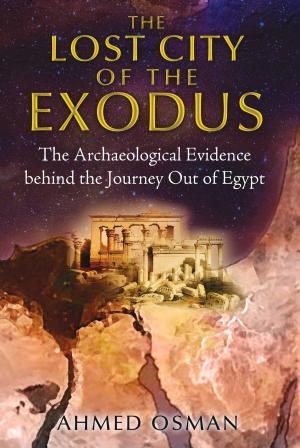 Cover of the book The Lost City of the Exodus by David Jay Brown