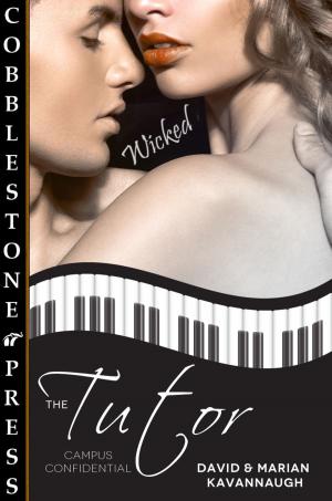 Cover of the book The Tutor by Lillith Payne