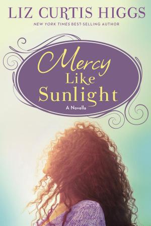 Cover of the book Mercy Like Sunlight by David Steindl-Rast