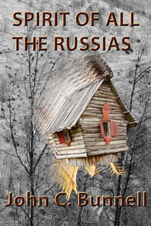 Cover of the book Spirit of All the Russias by Marilyn Levinson