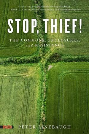 Cover of the book Stop, Thief! by Stewart Dean Ebersole, Jared Castaldi